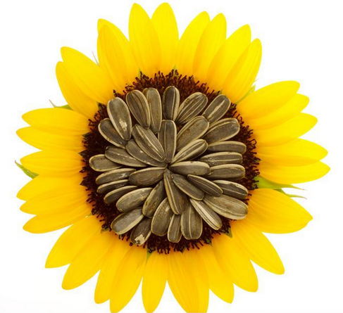 冬季<em>吃</em>什么<em>对头发好</em>?_360问答