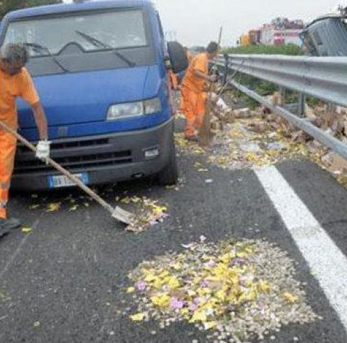 免费平台找货车拉货 t011233b7fbc6319e1f.png?size=498x492