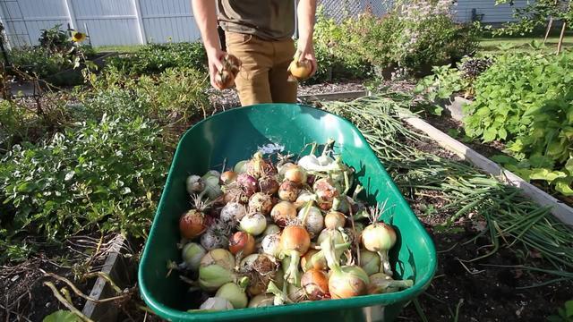 t0112c76a95801123ef.jpg?size=640x360