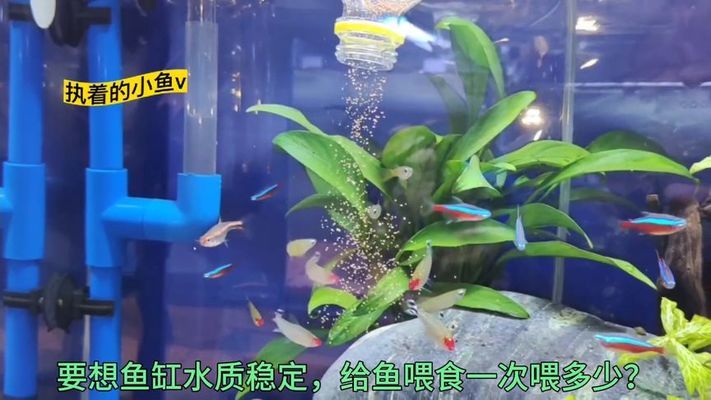 魚缸過濾設備怎么安裝的圖解（魚缸過濾設備怎么安裝的圖解視頻） 過濾設備