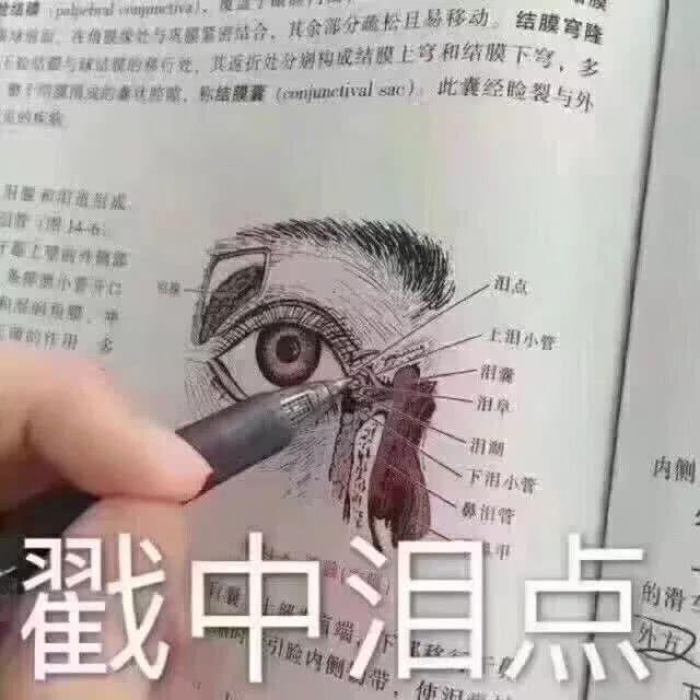 上一个看到1这套吐槽工作表情的人,已经被BO表情包手绘图片博微图片