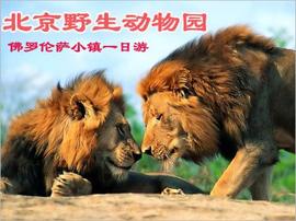 天津地区关于佛罗伦萨小镇的团购信息,佛罗伦