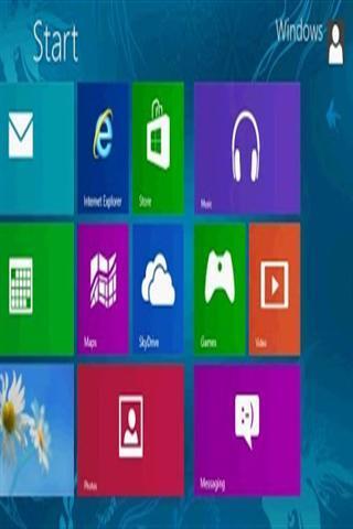 假的Windows8屏幕截图3