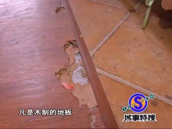 吓人!广州一豪宅被白蚁侵袭 女主人不敢回家 - 天地人 - 天地人和 吓人!广州一豪宅被白蚁侵袭 女主人不敢回家 - 天地人 - 天地人和