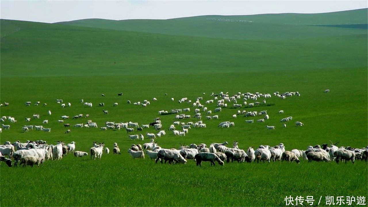 我国陆地面积最大的城市,比一个省还大,你知道是哪里吗?