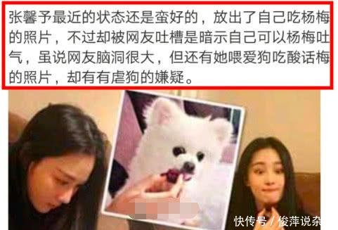 何捷微博曝光曾发文为张馨予怼黑粉,经纪人透