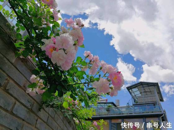 买情趣用品东西这是?情趣说就是对他的晒图男友买侮辱贱货外国吗图片