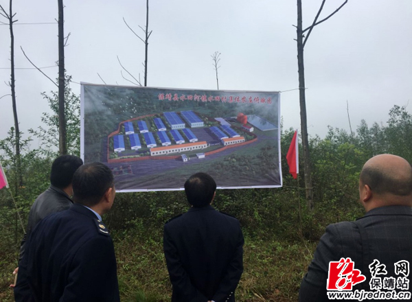 保靖水田河镇:集体农庄正式启动动工