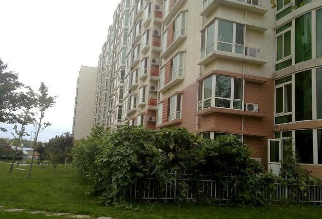 西马小区