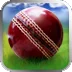 3D板球世界杯 3D Cricket WorldCup Fever