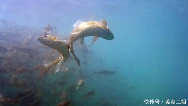 直击中国最“牛”湖泊,湖中鱼达到近3亿公斤,但却无人敢捕捞!