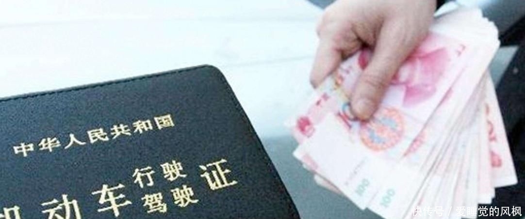 驾驶证到手都没上路过就无效?交警:原因就藏在“这四个字”里 钱柜qg111老虎机手机