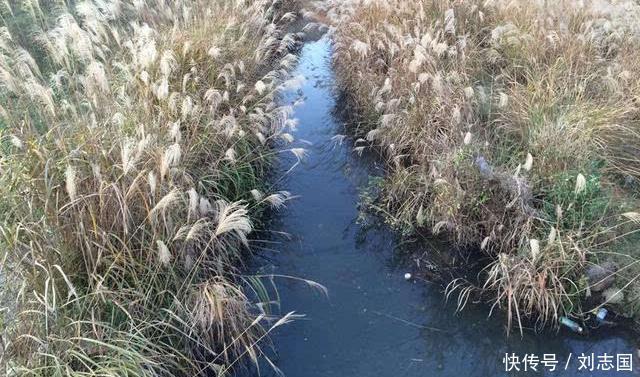 人生六箴言,言简意赅,意味深长!