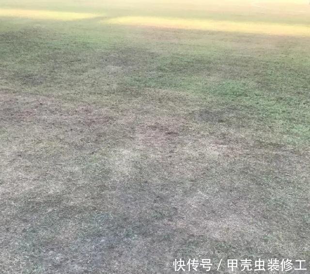 中超首次!武汉临时告知客队比赛取消 千名球迷