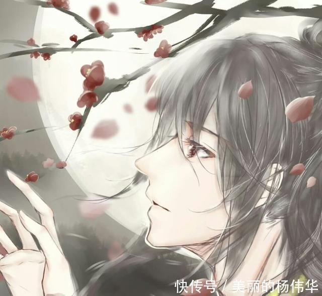 《魔道祖师》薛洋洋洋我们回家吧,家里有好多