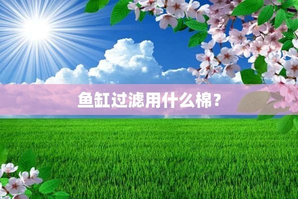 成都魚缸廠家批發(fā)電話多少啊