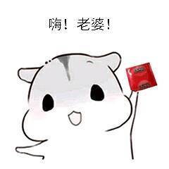 你们谁有小仓鼠的无情,就是嗨,表情的那个表情的图片老婆图片
