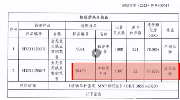 辦公室里放魚缸有什么講究（辦公室魚缸養(yǎng)什么魚好） 魚缸百科