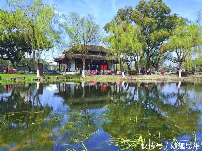 中国60岁以上人口已达17.3%, 作为生育主力军