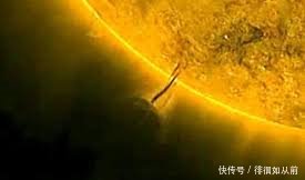 t011af8bcd169ddb004.jpg