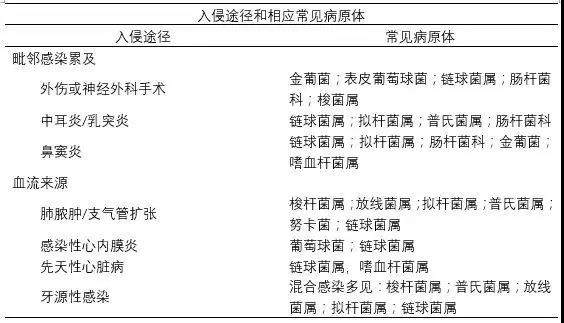 一文了解:细菌性脑脓肿的诊治