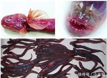 t011bceaf76151b977d.jpg?size=352x255