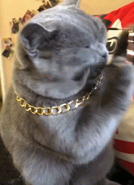 搞笑gif: 原谅我看着一幕,无耻的笑了! - 360娱乐,你