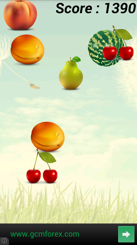 Fruit Catch截图5