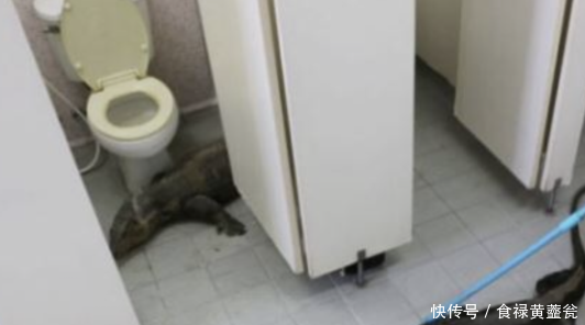 美女突然肚子痛去公共厕所,走进去看到一样东