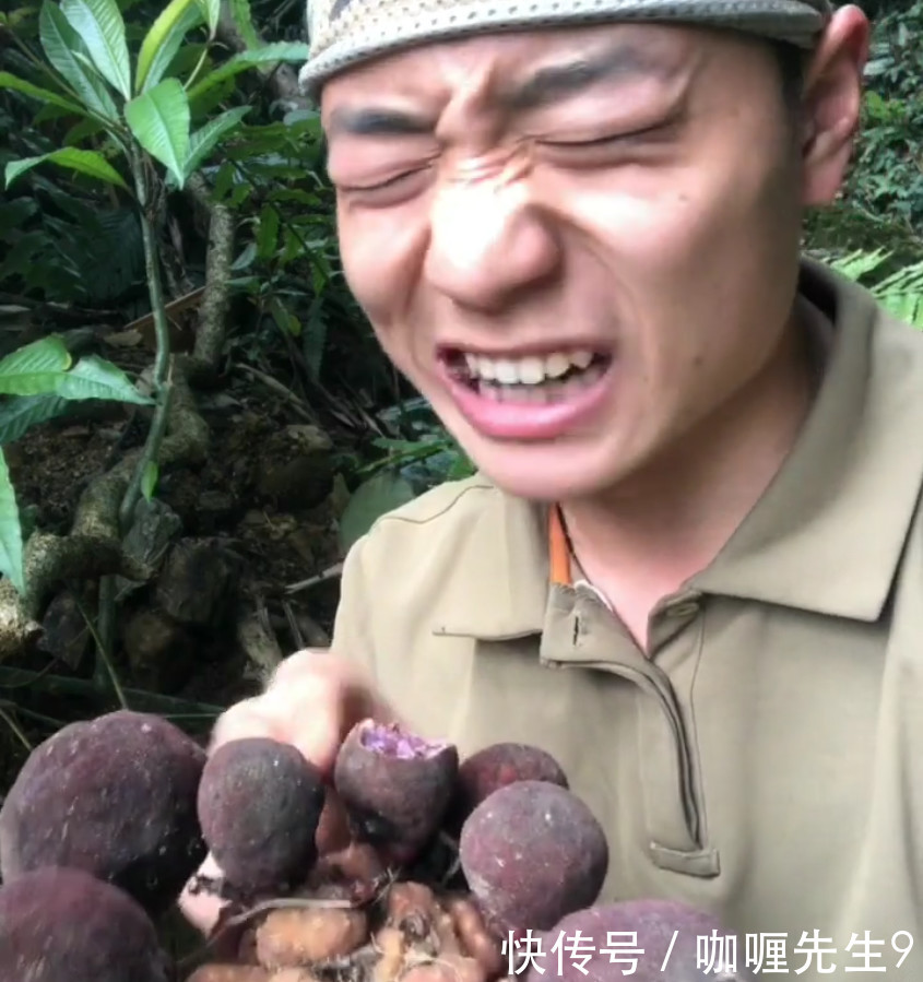 农村山里的“地枇杷”小伙吃完后是活蹦乱跳的，让他终身难忘！