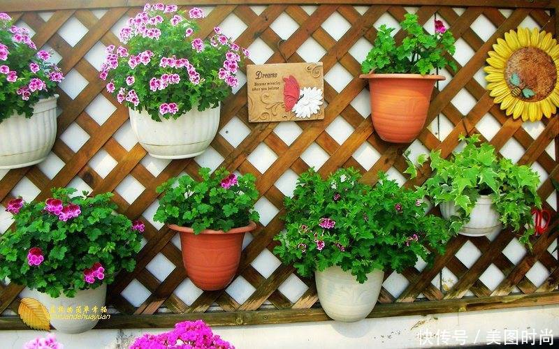 有个“露台花园”折腾,真好!此景此情,喝茶,看书 太惬意啦!