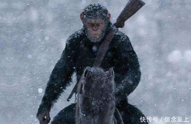 《猩球崛起》关于猩猩崛起的电影,非常劲爆,值