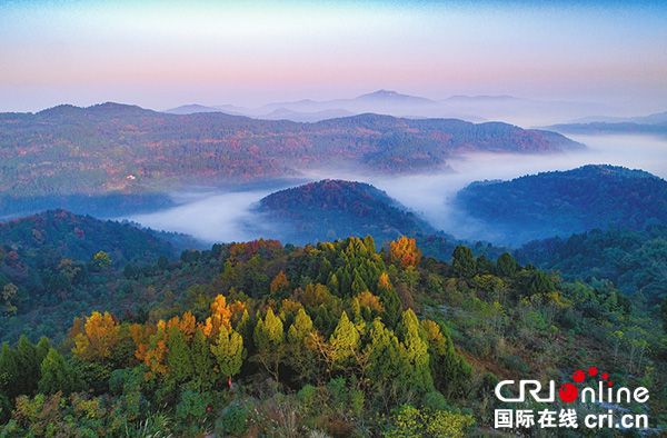 跃居新一线城市榜首 成都走过怎样的\"蝶变之路\"