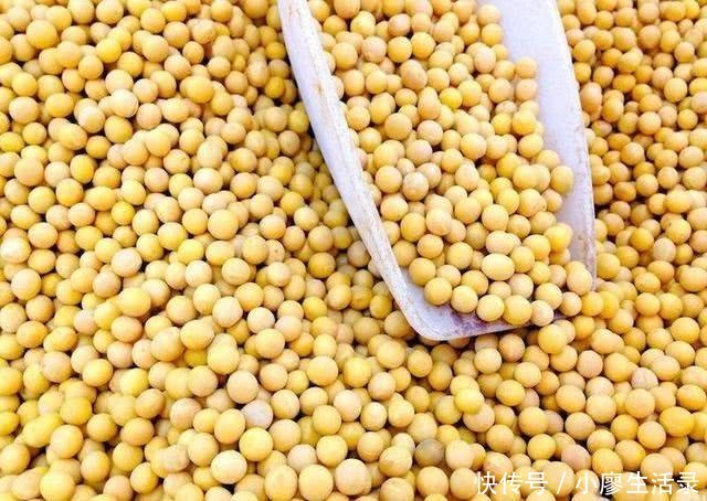 每年从美国和巴西进口大豆千万吨,都去了哪里