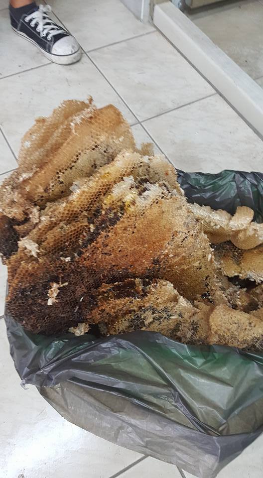 女子发现卫生间有黄色液体流出,把墙壁拆开后,结果让人看傻了眼