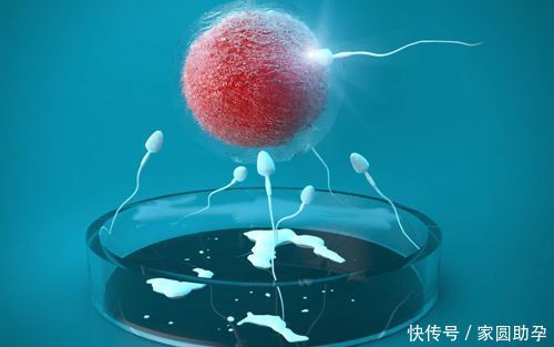 这五个症状就是横在你的人工辅助受孕路上的