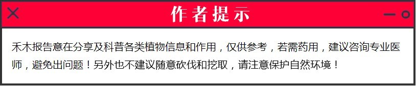 农村路边不起眼野草，曾是穷人的“除病草”，如今一斤20成稀罕货