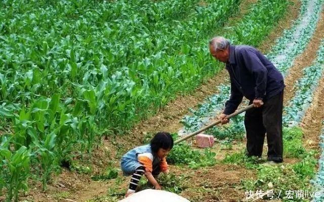 为什么选择留在农村种地的中国农民越来越少？以后谁来当农民