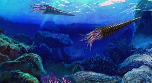 开始有生物大爆发的是哪个地质时代_360问答