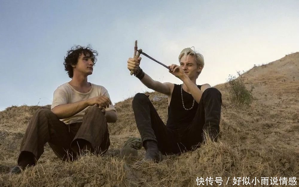 2019年奥斯卡最佳外语片竞争者名单出炉,满满