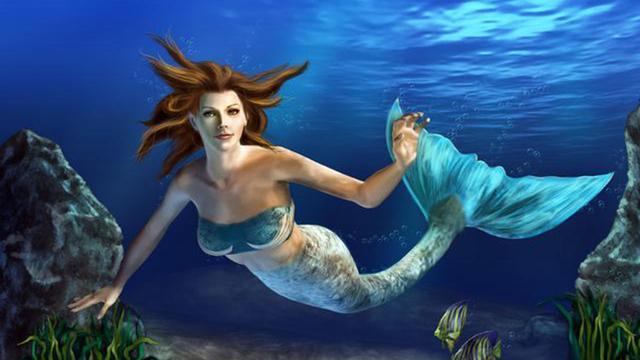 美人鱼到底存不存在呢?