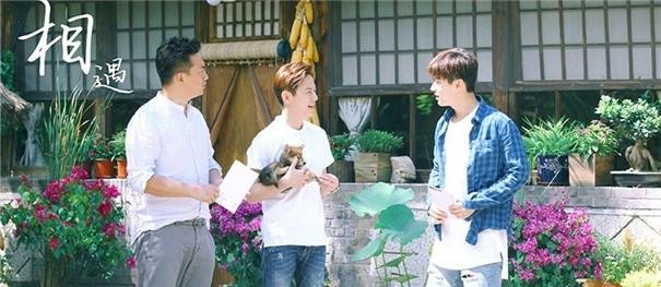 张子枫参加向往的生活真正原因原来是这个,却