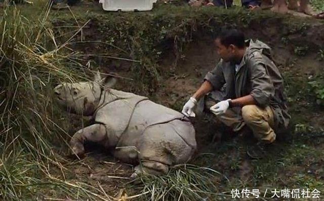 农民在地里干活，听到远处传来奇异的声音，仔细一看瞬间不淡定了