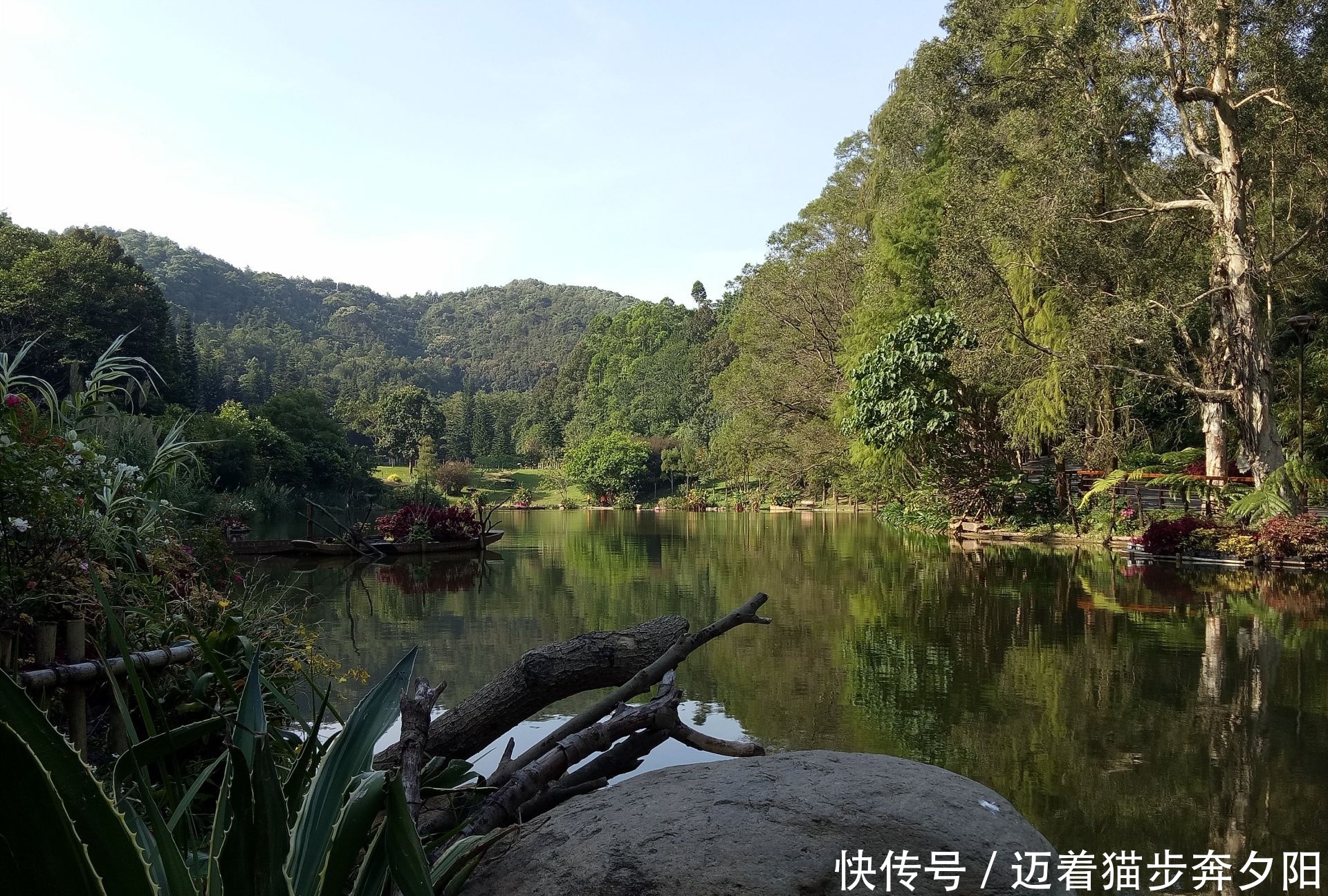 深圳仙湖植物弘法寺
