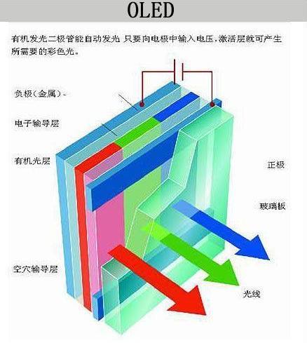 光的原理是什么呢_马齿芥的功效是什么呢(2)