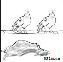 不懂这是什么意思求解释!_360问答