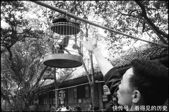 老照片: 80年代成都百花潭公园 满是悠闲自在的遛鸟人