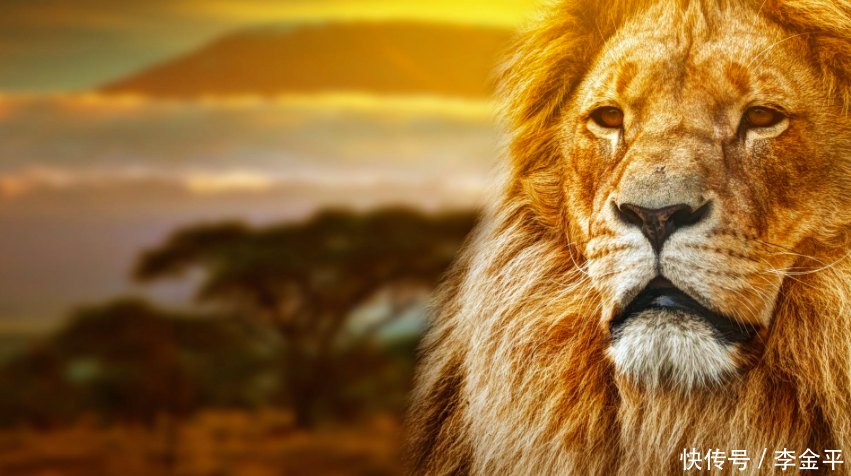 《道德经》中31条帝王驾驭之道!(李金平赏析