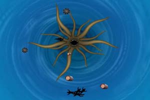 加勒比海盗2聚魂棺,加勒比海盗2聚魂棺小游戏