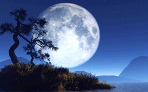 写四句借月抒怀的诗句